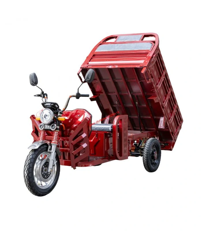 Pracovní tříkolka rikša Cargo E-DSL100 - 2025 60V 45Ah -1200W