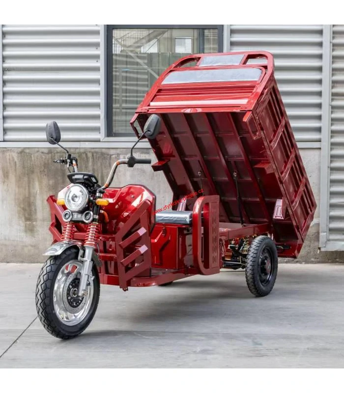 Pracovní tříkolka rikša Cargo E-DSL100 - 2025 60V 45Ah -1200W